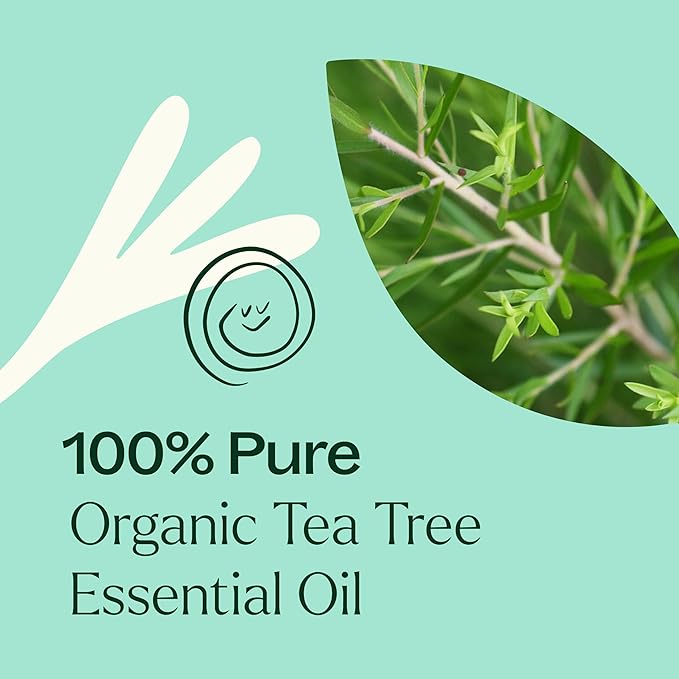 Plant Therapy Organic Tea Tree Oil (Melaleuca) 100% Pure, USDA Certified Organic, Undiluted, Natural Aromatherapy, Therapeutic Grade 100 mL (3.3 oz) - Bloomnest