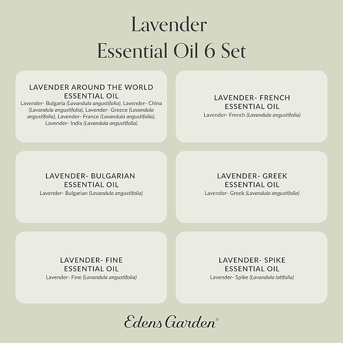 Edens Garden Lavender Essential Oils 6 Set – 100% Pure Therapeutic Grade Aromatherapy for Stress Relief, Calming & Home Diffusers – Natural, Vegan & Fragrance Oil Free Floral Scents, 10 ml/ 6 Pack - Bloomnest