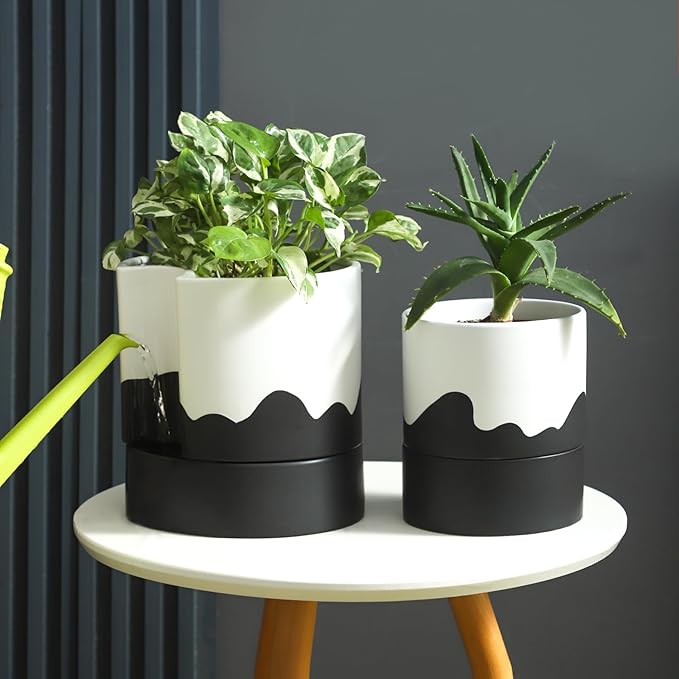 Nihow Self Watering Plant Pot: 8 Inch Ceramic Planter with Drainage Hole & Water Storage Plus for Indoor & Outdoor Plants - Cylinder Round Flower Pot for Succulent/Herbs/Violets - White & Wave Black - Bloomnest