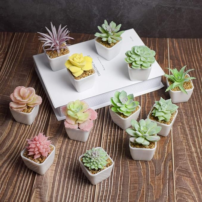 Tiita Artificial Faux Succulents in Pots Fake Plants Plastic Arrangement Planter Small Mini Tiny Decoration for Home Office Desk Window Sill Bathroom Bedroom Outdoor Indoor 12 Set - Bloomnest