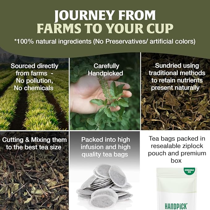 HANDPICK Original Tulsi Tea (100 count) Holy Basil Calming and Stress Relief Tea, Immune Support | Non-GMO, Caffeine-Free Herbal Tea | Ecofriendly Round Tea Bags - Bloomnest