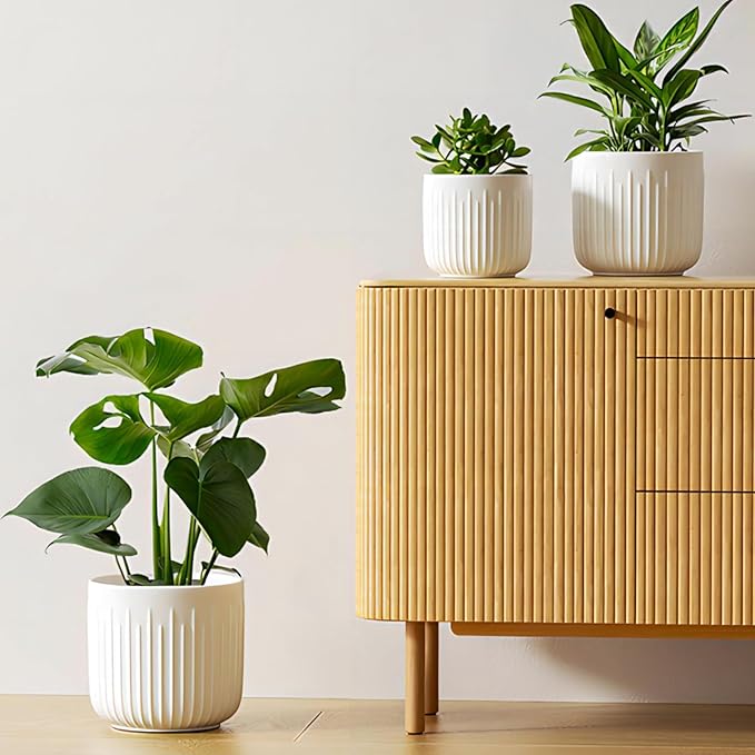 LE TAUCI Fluted Ceramic Planters Set of 3 – 8.3/7 / 5.7 in White Cylinder Indoor Plant Pots with Drainage Plug & Mesh, Matte Glazed Stoneware Flower Pots for Succulent Herb Cactus - Bloomnest
