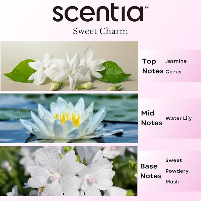 Sweet Charm Diffuser Oil | Romantic Essential Aromatherapy Oil for Love and Date Night | Valentine Collection with Jasmine, Lily & Musk | 120ml | 4.06 Fl Oz, Thanksgiving Gift - Bloomnest