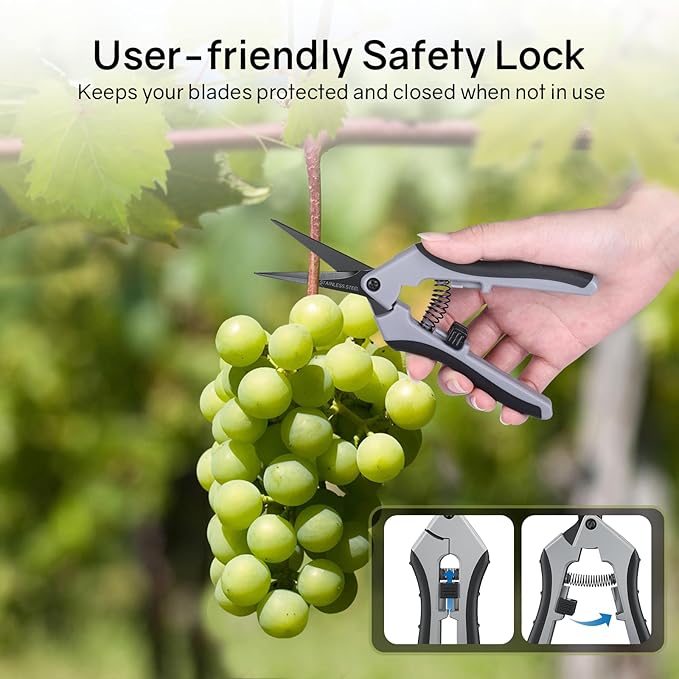 6.5" Ultra Sharp Pruning Shears - Professional Garden Scissors with Straight Stainless Steel Blades, Ergonomic Handle, Rust Resistant, Safety Lock, Trimming Scissors for Plants in Grow Tents, 2-Pack - Bloomnest