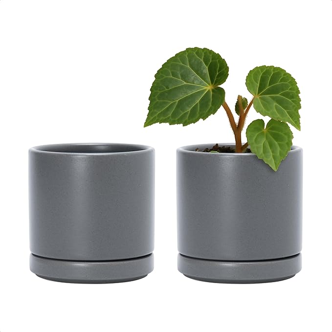 D'vine Dev Set of 2 Plants Pots, 3.5 Inch Ceramic Planter Pot for Plants with Drainage Hole and Saucer, Speckled Grey, 94-V-A-3 - Bloomnest