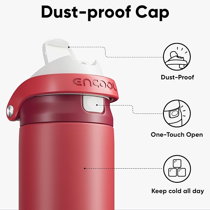 ENCOOL Leakproof Insulated Water Bottle with Straw Dual-Sip Water Bottle Bag-Safe Design for Work, Commute & Gym – Keeps Drinks Cold All Day, 32 oz, Ember Clay ENCOOL