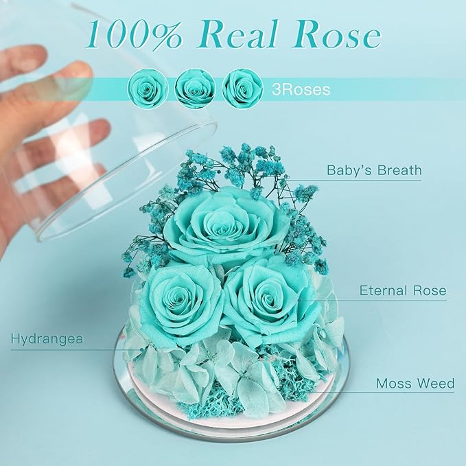 Valentines Day Preserved Flower Rose Gifts for Women, Forever Eternal Fresh Flowers Flores in Glass Angel Figurines for Delivery for Grandma Mom Sister Her Wife Mothers Day from Daughter Birthday - Bloomnest