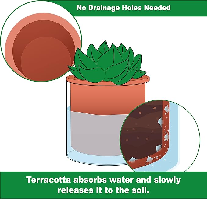 Phoenix Vine 6 Inch Self Watering Plants Pot, Design Terracotta Pot for Plants, Indoor Cylinder Terra Cotta Planter with Glass Vase, Set of 1, 51-A-F-1 - Bloomnest