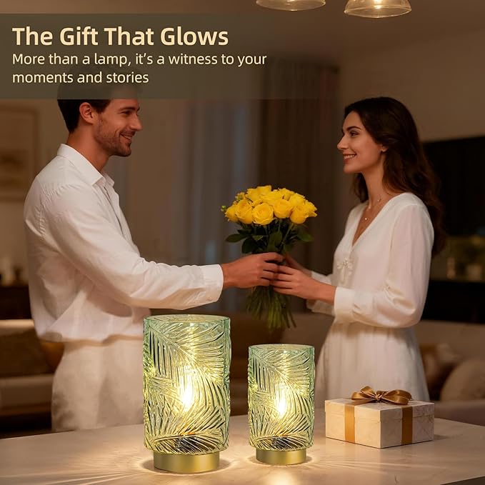 Battery Operated Table Lamp, Cordless Lamps for Home Decor, Battery Powered Nightlight with LED Bulb with Timer, Decorative Lights for Living Room Bedroom Tabletop Entryway Centerpiece Gift(Small LG) - Bloomnest