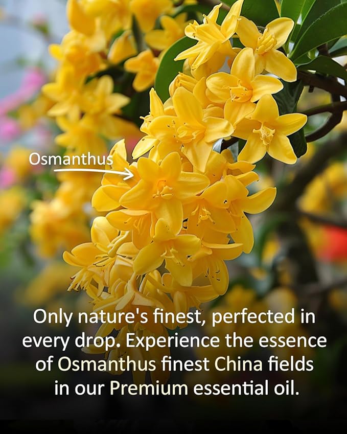 Osmanthus Essential Oil, 100% Pure Natural Osmanthus Oil, Premium Essential Oil for Diffusers, DIY Candles, Soaps, Room & Linen Sprays, Aromatherapy, Blending, 4 Fl Oz / 120ml Airoomoil