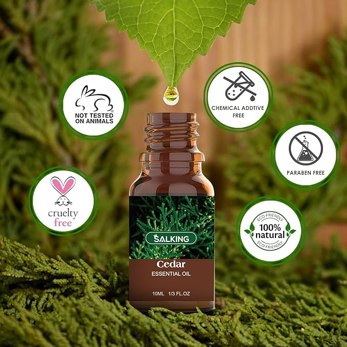 SALKING Woodsy Essential Oils Set for Men, Masculine Essential Oils, 12 x 10ml Natural Fragrance Essential Oils for Diffuser, Candle & Soap Making, Manly Essential Oil Gift for Husband - Bloomnest