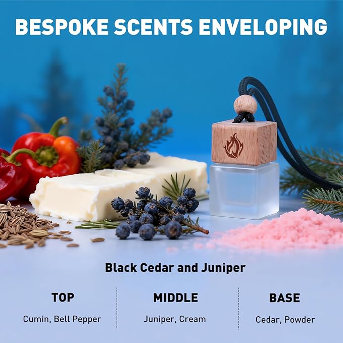 Car Air Freshener Hanging 2 Pack, Black Cedar and Juniper Essential Oil Air Diffuser, Long Lasting Car Scent Fragrance, Car Accessories for Women Men - Bloomnest