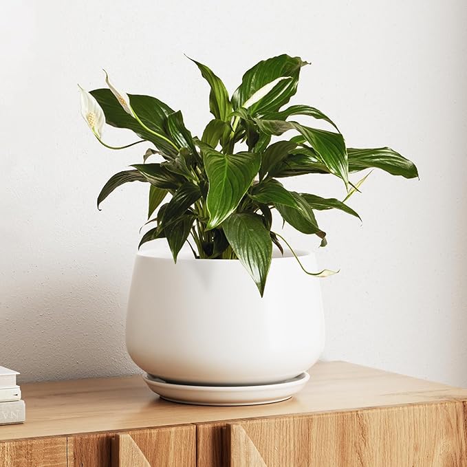 LE TAUCI Ceramic Planter, 10 Inch Plant Pot with Drainage Hole & Saucer – Durable Indoor Planter for Modern Home Decor, White - Bloomnest