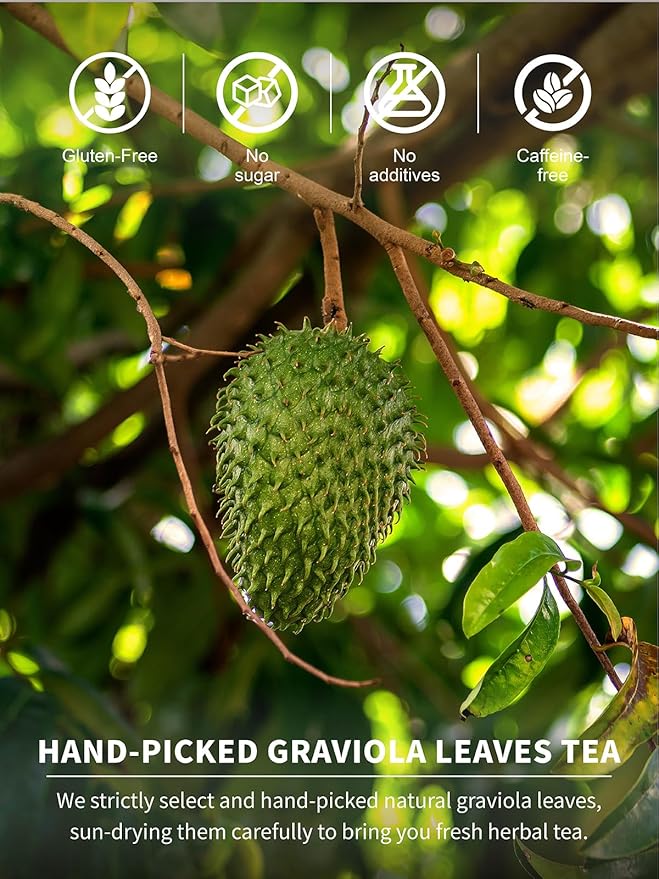 TeeLux Soursop Graviola Leaf Tea Bags, Natural Soursop Leaves Tea, Mild & Smooth Taste, Caffeine Free, 50 Count - Bloomnest