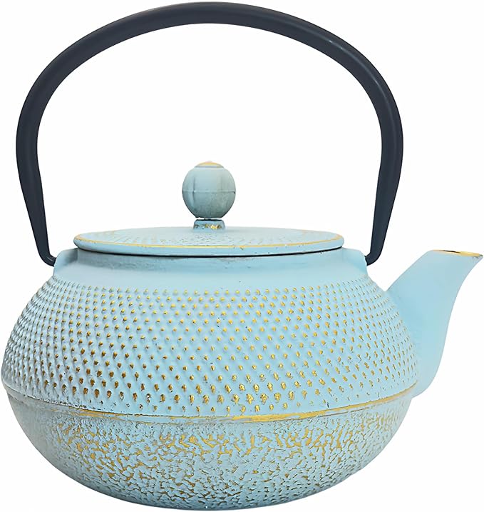 30.4oz Small Cast Iron Teapot, Tea Kettle for Stovetop Safe Coated with Enameled Interior, Japanese Tetsubin, Tea Pot with Stainless Steel Infuser for Loose Tea(900ml) - Bloomnest