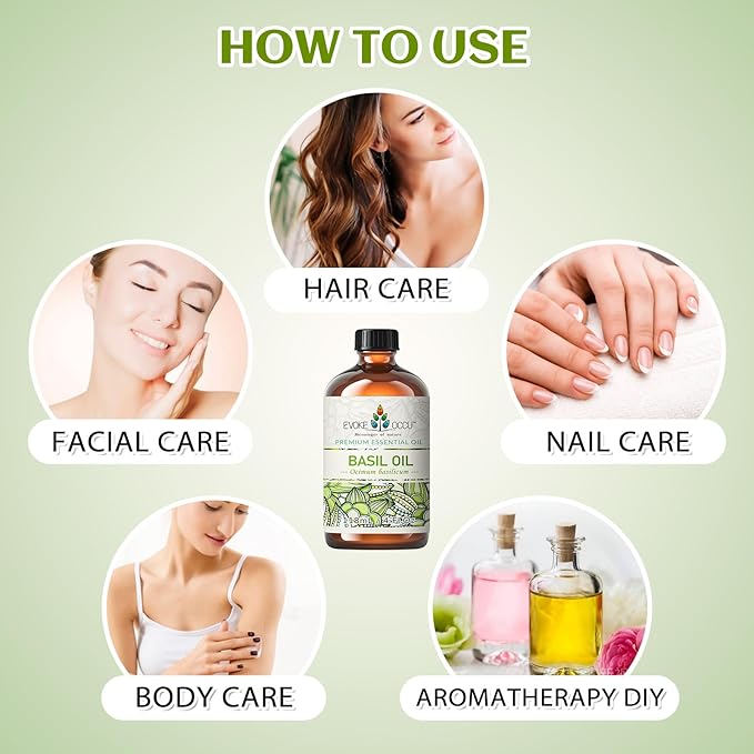 EVOKE OCCU Basil Essential Oil for Skin Massage Diffuser and Candle Making- 4 Fl Oz - Bloomnest