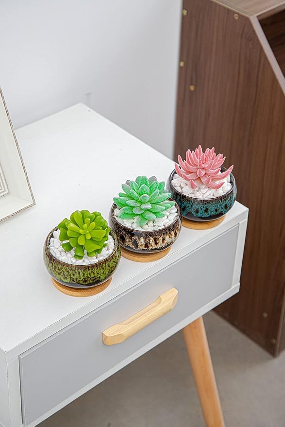 Cute Ceramic Succulent Garden Pots, Planter with Drainage and Attached Saucer, Set of 5 -Plants Not Included (Round) - Bloomnest