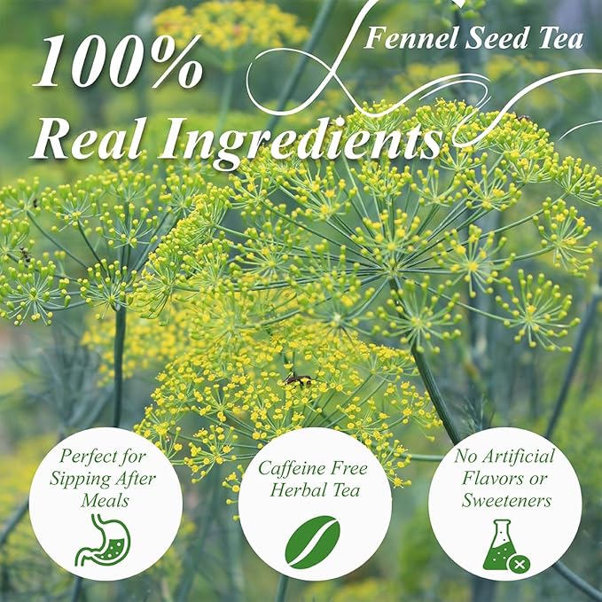 WT WEETEE Fennel Tea Bags 100 Count, 100% Natural & Pure Fennel Seeds Tea, Smooth & Sweet, No Sugar, Caffeine-Free - Bloomnest