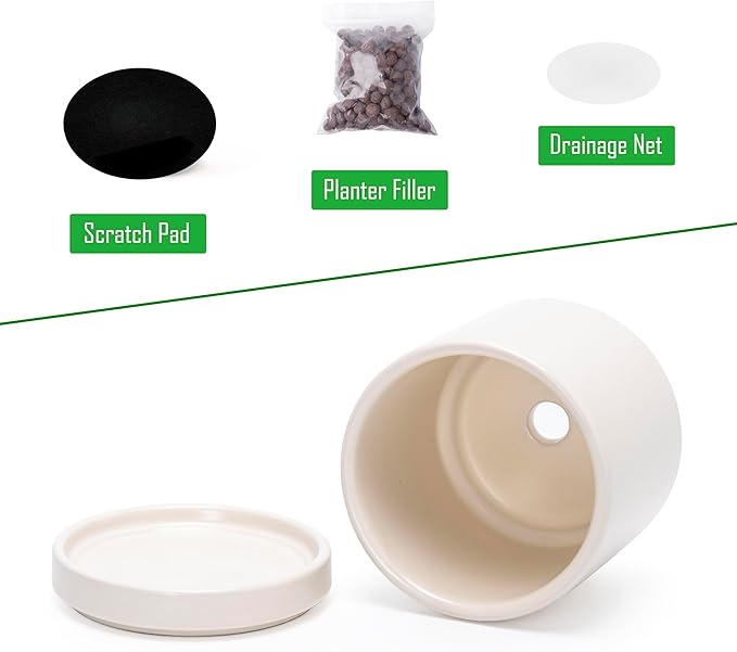 D'vine Dev Set of 2 Plants Pots, 3.5 Inch Ceramic Planter Pot for Plants with Drainage Hole and Saucer, Oatmeal, 94-V-A-8 - Bloomnest