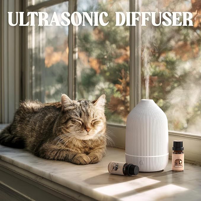 Essential Oil Diffuser, 100ml Aromatherapy Diffuser, Mini Ultrasonic Diffuser for Essential Oil, Home, Office, Cool Mist Humidifier with 7 Led Light, Auto Shut-Off, White - Bloomnest