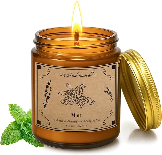 Home Scented Candles, 16oz Large Jar Scented Candle – Mint Soy Wax Candle with 100 Hour Burn Time, Long Lasting Aromatherapy Candle for Cooling Freshness, Relaxing Home Fragrance & Gift Candles - Bloomnest