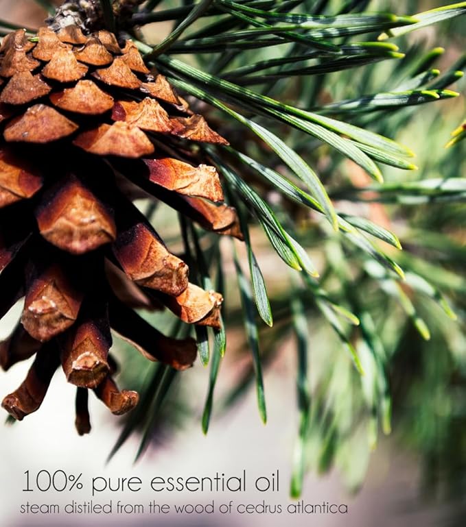 Cedarwood Atlas Essential Oil - 4 fl oz - 100% Pure Essential Oil - GreenHealth Greenals