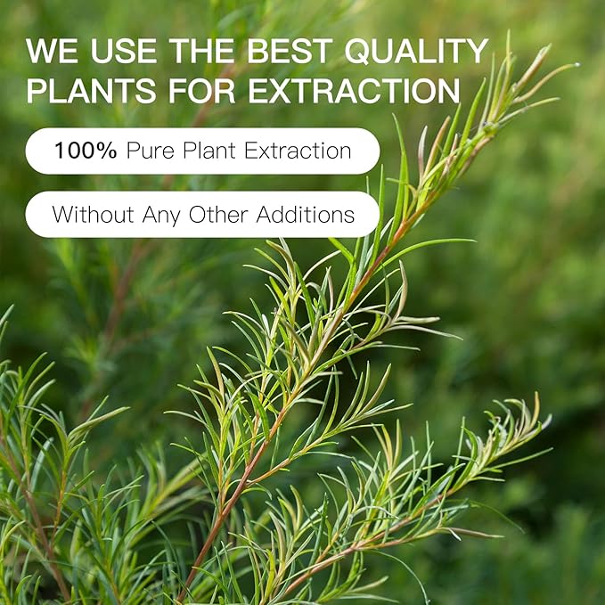 Tea Tree Essential Oil Blend, 100% Pure Natural Aromatherapy, Undiluted for Diffuser, Anti-Dandruff & Anti-Itch, Hair, Scalp-10ML - Bloomnest