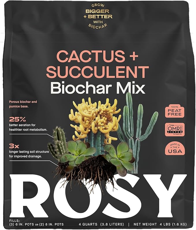Cactus and Succulent Organic Potting Soil Mix for House Plants - Fast Draining, Root Boosting, Peat-Free, Less Prone to Gnats - Drought-Tolerant - Growth of Aloe Vera, Cacti and Indoor Succulents- 4qt - Bloomnest