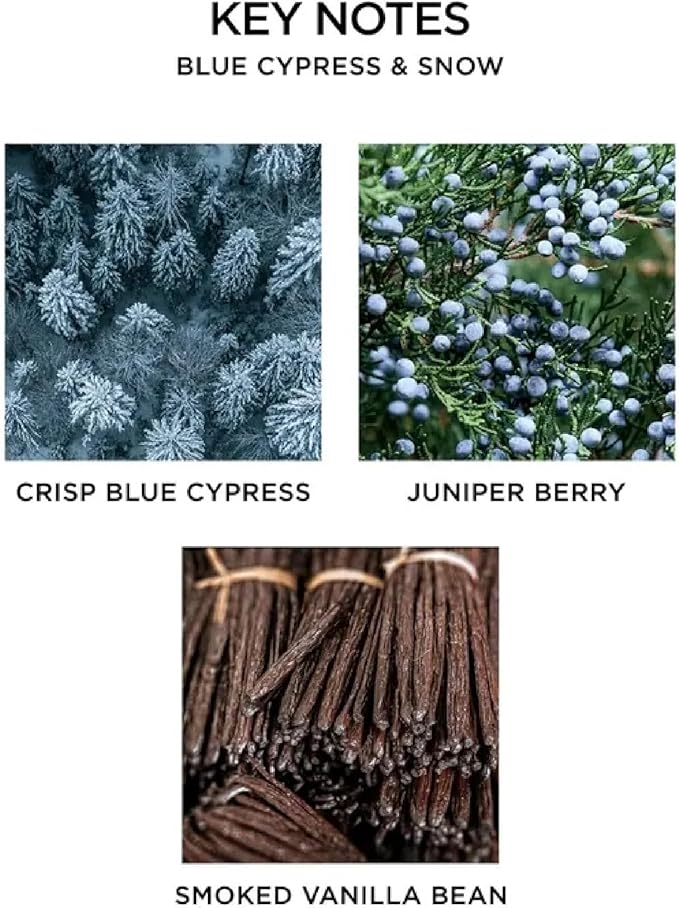 NEST New York Scented 3-Wick Candle, Blue Cypress & Snow - 21.2 oz - Up to 100-Hour Burn Time - Reusable Glass Vessel - Bloomnest
