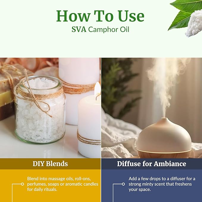 SVA Camphor Essential Oil – 4 Fl Oz – 100% Natural Camphor Oil - for Diffuser, Hair Care, Face, Skin Care, Aromatherapy, Scalp and Body Massage, Soap and Candle Making – with Dropper - Bloomnest