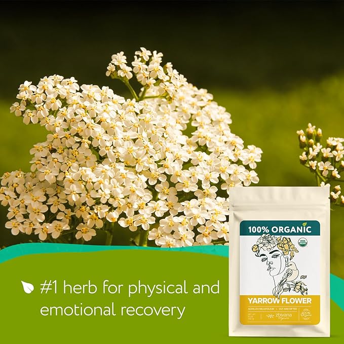 Yarrow Flower Tea Organic (4oz.)- Dried Yarrow Herb Loose Leaf - Herbal Tea to Support Healthy Immune Function & Relaxation - Bloomnest