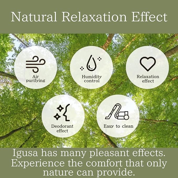 BJDesign Foldable Igusa Tatami Floor Chair - Zen Meditation Cushion and Seat, Dual-Purpose, Eco-Friendly, Handmade with Natural Materials, Easy to Store - Versatile Seating for Adults and Kids