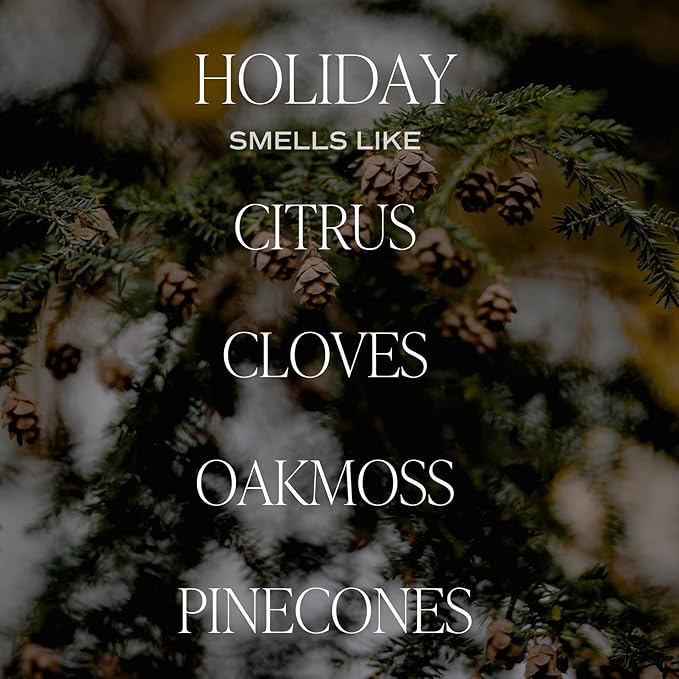 Sweet Water Decor Holiday Candle | Cloves, Pine, and Sandalwood Festive Christmas Winter Scented Soy Candles for Home | 9oz Clear Jar, 40 Hour Burn Time, Made in The USA - Bloomnest