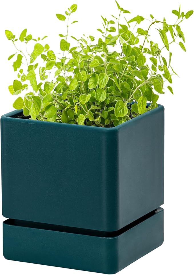 4 Inch Herb Planter Pot, Plastic Planter with Drainage Holes and Saucer, Modern Decorative Gardening Pot for Indoor Plants, Flowers, Herbs, Succulents, Green, Set of 1, 76-Y-C-1 - Bloomnest
