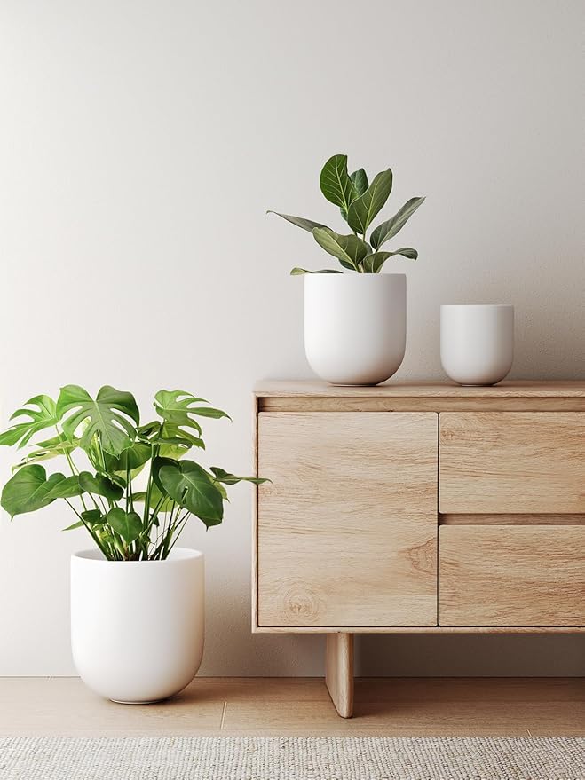 LE TAUCI 10 Inch Plant Pot, Ceramic Pots for Plants with Drainage Hole and Rubber Plug, Plant Pots Indoor for Olive Tree, Cylinder Planter Pot for Home Patio Office, White - Bloomnest