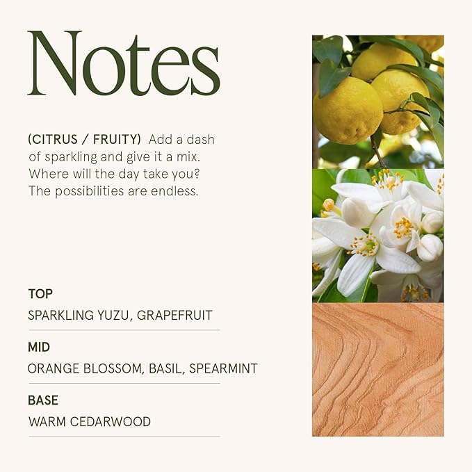 LA JOLIE MUSE Yuzu & Neroli Blossom Candle - Yuzu, Orange Blossom, Cedarwood | 6 oz Natural Soy Wax | 40 Hours Clean Burn | Citrus Scented Candle | Gift-Ready for Hosts & Gatherings - Bloomnest