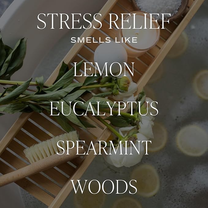 Sweet Water Decor Citrus Calm Scented Soy Candles – Lemon, Orange, Eucalyptus, Parsley, Lavender, Sage – Fresh & Calming Aroma – 50 Hour Burn – 12oz Tinted Glass Jar for Home Decor and Bedroom Decor - Bloomnest
