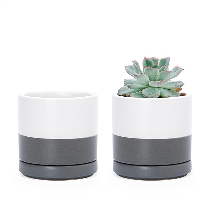 D'vine Dev Set of 2 Plants Pots, 3.5 Inch Ceramic Planter Pot for Plants with Drainage Hole and Saucer, White/Speckled Grey, 94-V-A-6 - Bloomnest