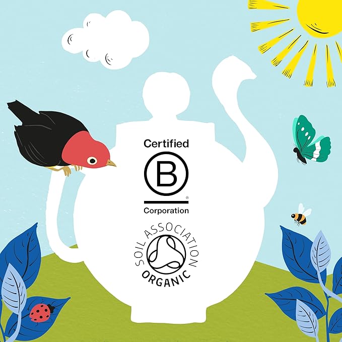 Clipper Tea, Organic Decaf, Plant-Based, Decaffeinated Black Tea, Great Over Ice, 4 Pack, 320 Unbleached Tea Bags - Bloomnest