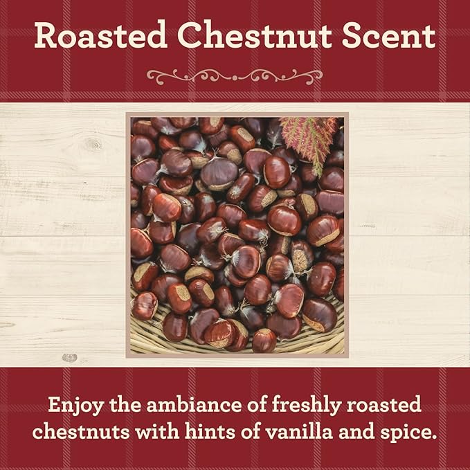 Our Own Candle Company, Roasted Chestnut Scented Mason Jar Candle, 100 Hour Burn Time, 13 Ounces - Bloomnest