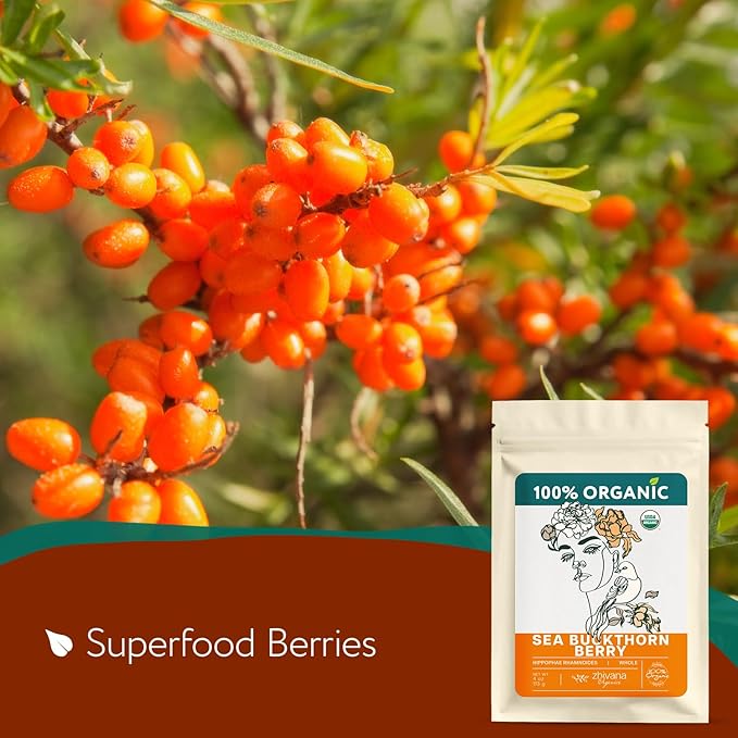 Super Value Pack - Organic Sea Buckthorn Berry Tea 5 LB - Seabuckthorn, Seaberry, Espino Amarillo - Bloomnest