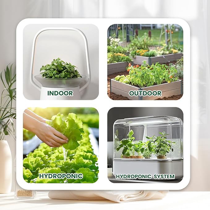 Herb Seeds 15-Pack – 4,500+ Non-GMO Heirloom Seeds for Planting – Indoor & Outdoor Herb Garden Kit with Basil, Cilantro, Rosemary, Thyme, Dill, Sage – Medicinal & Culinary Herb Seeds Variety Pack - Bloomnest