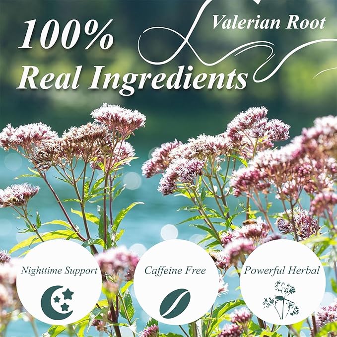 WT WEETEE Valerian Root Tea Bags, Made with Pure Valerian Root (Valeriana), 50 Count Earthy/Woody Herbal Tea Bags, Naturally Caffeine-free - Bloomnest