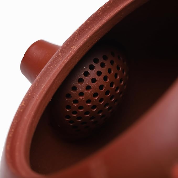 Fine Zisha Tea Pot Set,Master Handmade Genuine Yixing Clay Teapot 11.3 Oz with 4 Cups,Xishi Tea Set,Zhuni Red Beauty Clay