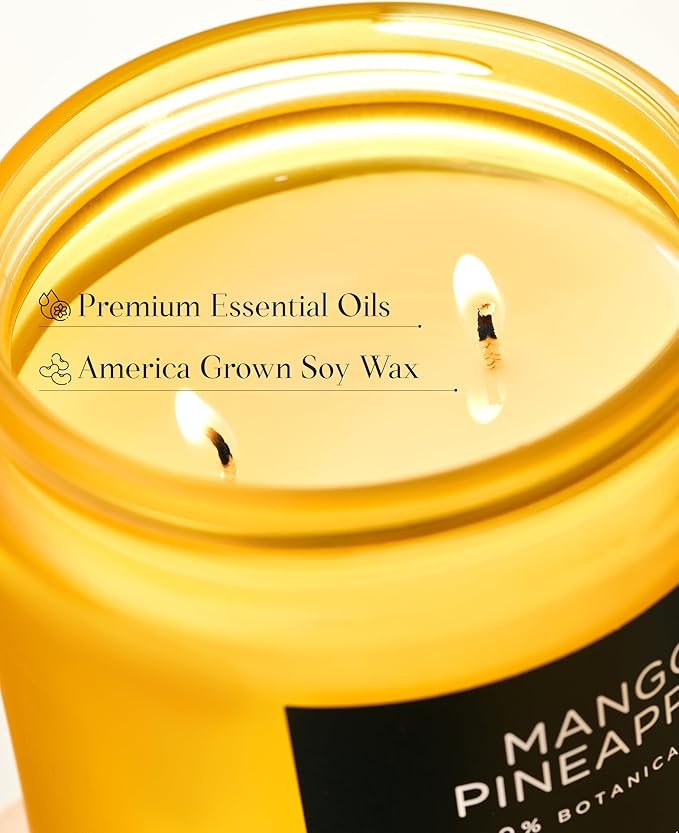 M&SENSE Mango Pineapple Tropical Scented Candle - 11.6oz Natural Soy Wax Non Toxic 70-Hour Burn 2-Wick Fruit Scent for Home, Housewarming Gifts - Aromatherapy Candle for Women, Men & Family Friends - Bloomnest
