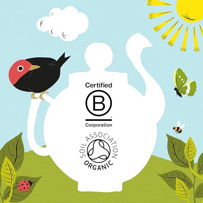Clipper Tea Organic Fairtrade Everyday - USDA Organic, Non-GMO, Fair Trade, Sustainable Caffeinated British Tea, 4 Pack, 320 Unbleached Tea Bags - New Foil Free 100% recyclable packaging - Bloomnest