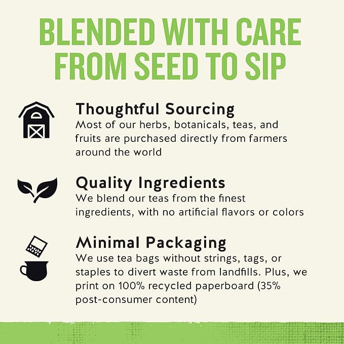 Celestial Seasonings Sleepytime Wellness Detox Tea, Caffeine Free, 20 Tea Bags Box - Bloomnest
