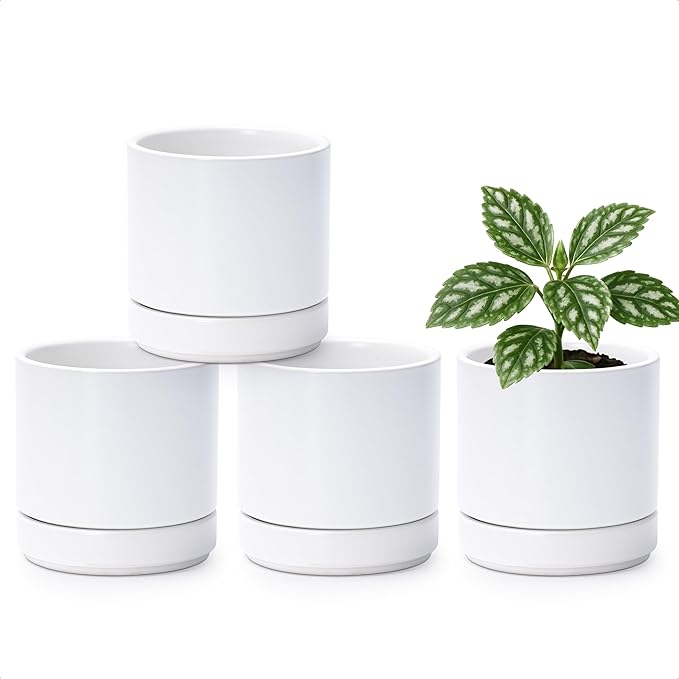 D'vine Dev Set of 4 Small Ceramic Plant Pots, 4.7 Inch Succulent Planter Pot for Plants with Drainage Hole and Saucer, White, 94-X-B-1 - Bloomnest
