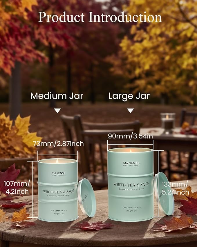M&SENSE White Tea Sage Scented Candles Natural Non Toxic, Aromatherapy Candle for Stress Relief Meditation Relaxing, Housewarming Gifts for Women Men, 11.3oz 70 Hour Long Burning - Bloomnest