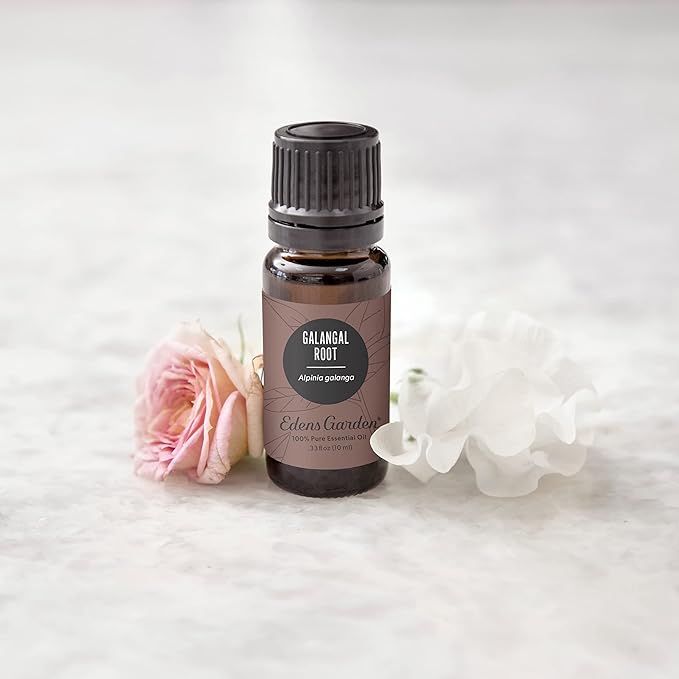 Edens Garden Galangal Root Essential Oil- 100% Pure Premium Grade, Undiluted, Natural, Therapeutic, Aromatherapy, The Best for Diffuser, Candle, Laundry, Humidifiers 30 ml (1 fl oz) EdensGarden